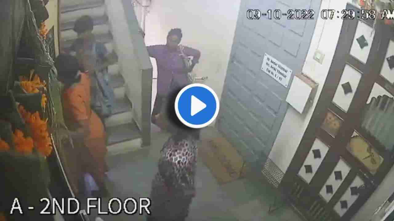 CCTV : सावधान! सकाळी दूध घेण्यासाठी घराचं दार उघडं ठेवताय? मग ही बातमी वाचाच