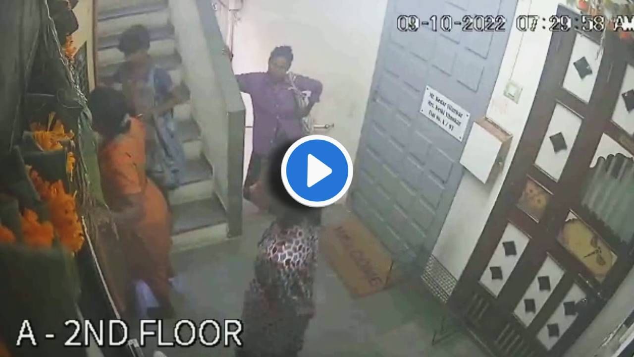 CCTV : सावधान! सकाळी दूध घेण्यासाठी घराचं दार उघडं ठेवताय? मग ही बातमी वाचाच