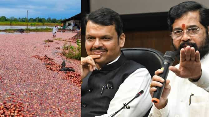 ओला दुष्काळ जाहीर करण्याची मागणी वाढतेय, सरकार शेतकरी हिताचा निर्णय घेणार?