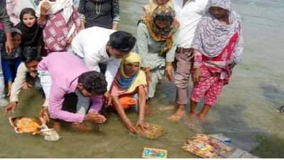 राजस्थानमध्ये 250 दलित हिंदू कुटुंबांनी केले बौद्ध धर्मात धर्मांतरण, इतका मोठा निर्णय त्यांनी का घेतला?