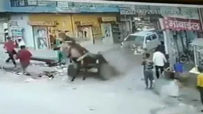 ना टांगा पलटी, ना गाढव फरार, कारच्या धडकेनंतर झालं असं काही, पाहा थरारक VIDEO