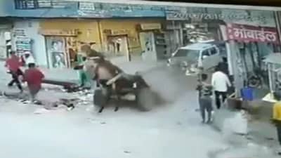 ना टांगा पलटी, ना गाढव फरार, कारच्या धडकेनंतर झालं असं काही, पाहा थरारक VIDEO