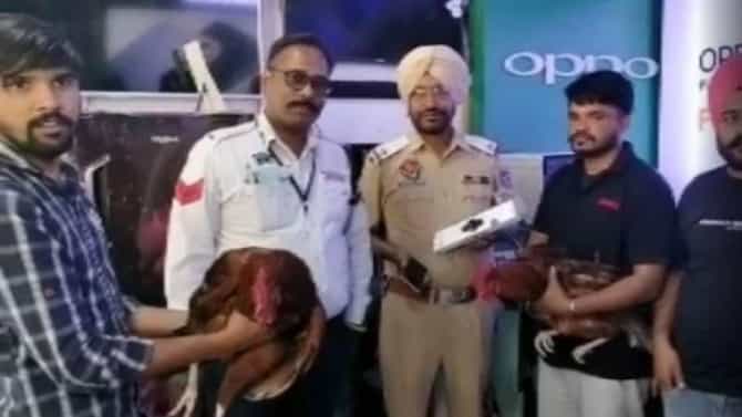 Diwali Offer : खरेदीवर एक कोंबडं आणि दारुची बाटली एकदम फ्री..दिवाळीला या शहरातील दुकानदाराची भन्नाट ऑफर