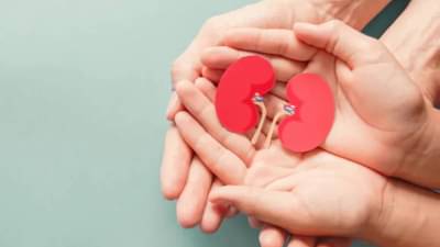  या   सवयींमुळे होऊ शकते किडनी फेल, लाइफस्टाइलमध्ये करा हे बदल !