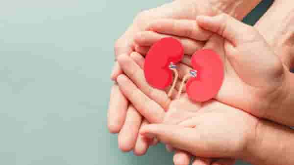 या सवयींमुळे होऊ शकते किडनी फेल, लाइफस्टाइलमध्ये करा हे बदल !
