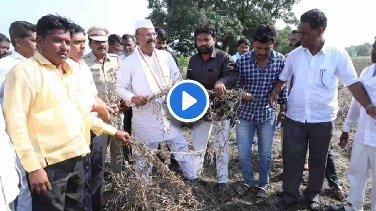 Video : दारु पिता का? नुकसान पाहणी दौऱ्यादरम्यान अब्दुल सत्तार यांनी असा प्रश्न कुणाला विचारला?