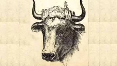 बैलाच्या मालकाचा चेहरा शोधून दाखवा!