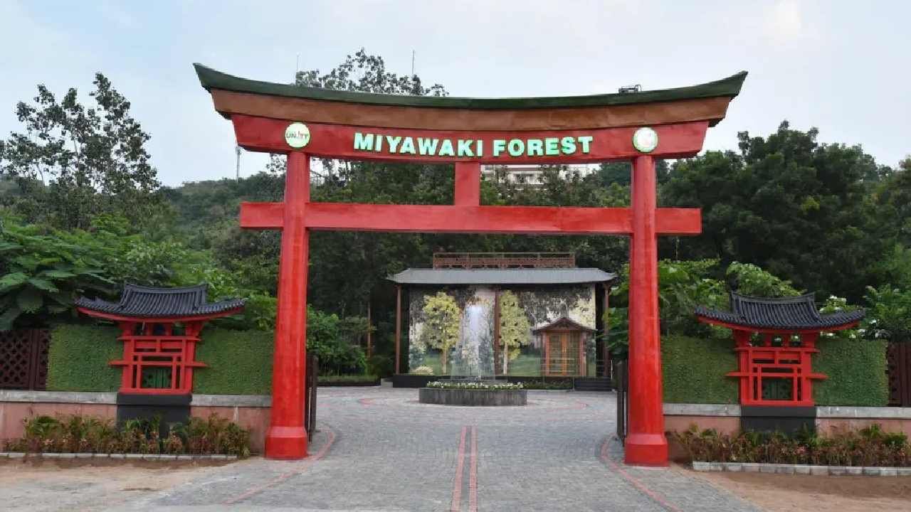 जपानच्या धर्तीवर उभं राहिलेलं मियावाकी जंगल नेमकं कसंय? PM नरेंद्र मोदींनी लोकार्पण केलंय... वाचा!