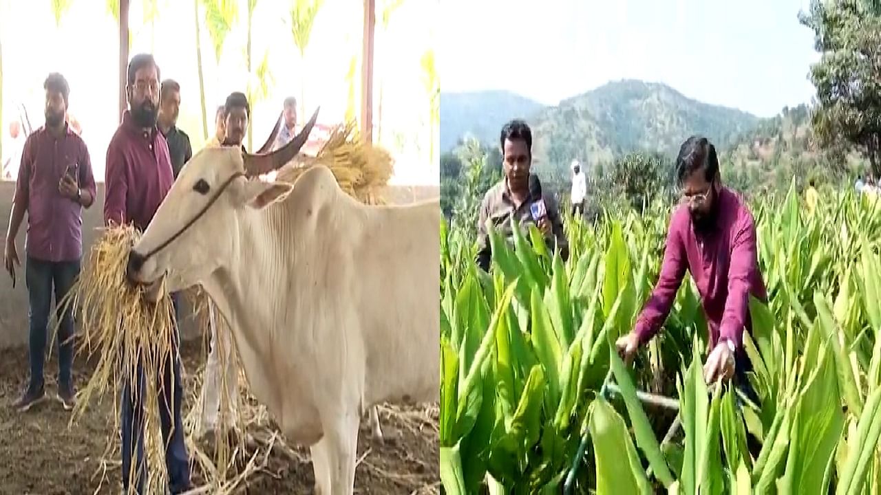 EXCLUSIVE : महाराष्ट्राचे मुख्यमंत्री जेव्हा शेतात मशागत करतात, पाहा एकनाथ शिंदेंचं अनोखं रुप