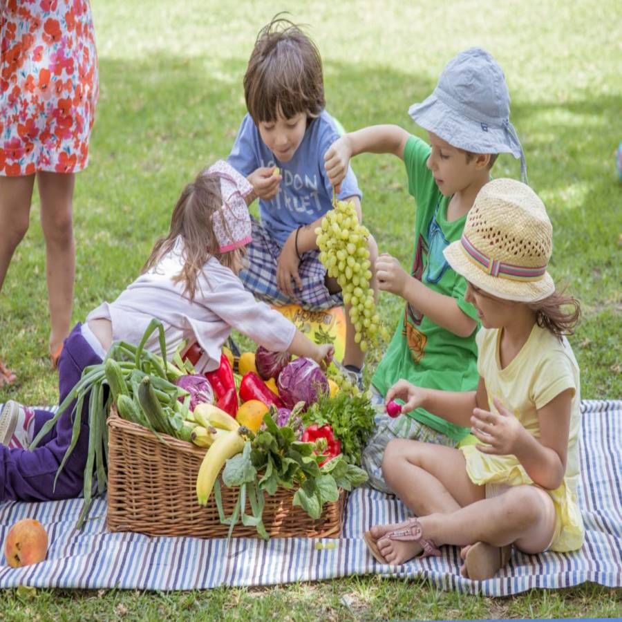 पिकनिकला न्या - बालदिनाच्या निमित्ताने तुम्ही मुलांना पिकनिकला घेऊन जाऊ शकता. आजकाल धावपळीच्या जीवनात अनेकदा पालकांना मुलांना फारसा वेळ देता येत नाही. अशा परिस्थितीत पिकनिकच्या निमित्ताने तुम्ही मुलांसोबत थोडा क्वॉलिटी टाइम घालवू शकाल. 
