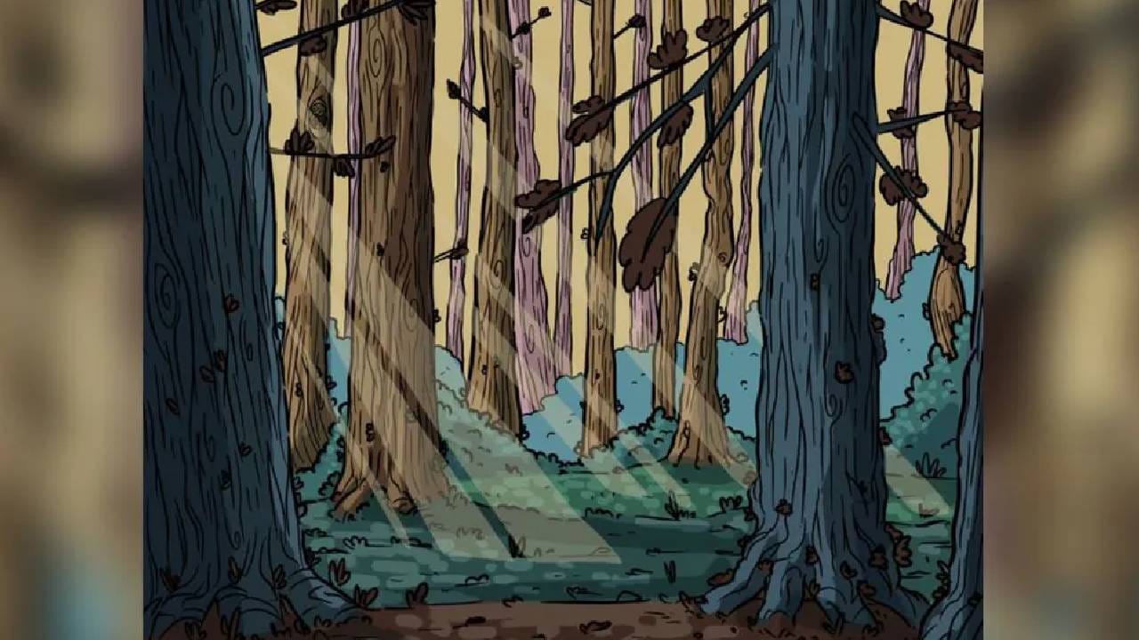 Optical Illusion: लपलेलं घुबड शोधा म्हणजे सापडेल! Optical Illusion: लपलेलं घुबड शोधा म्हणजे सापडेल!