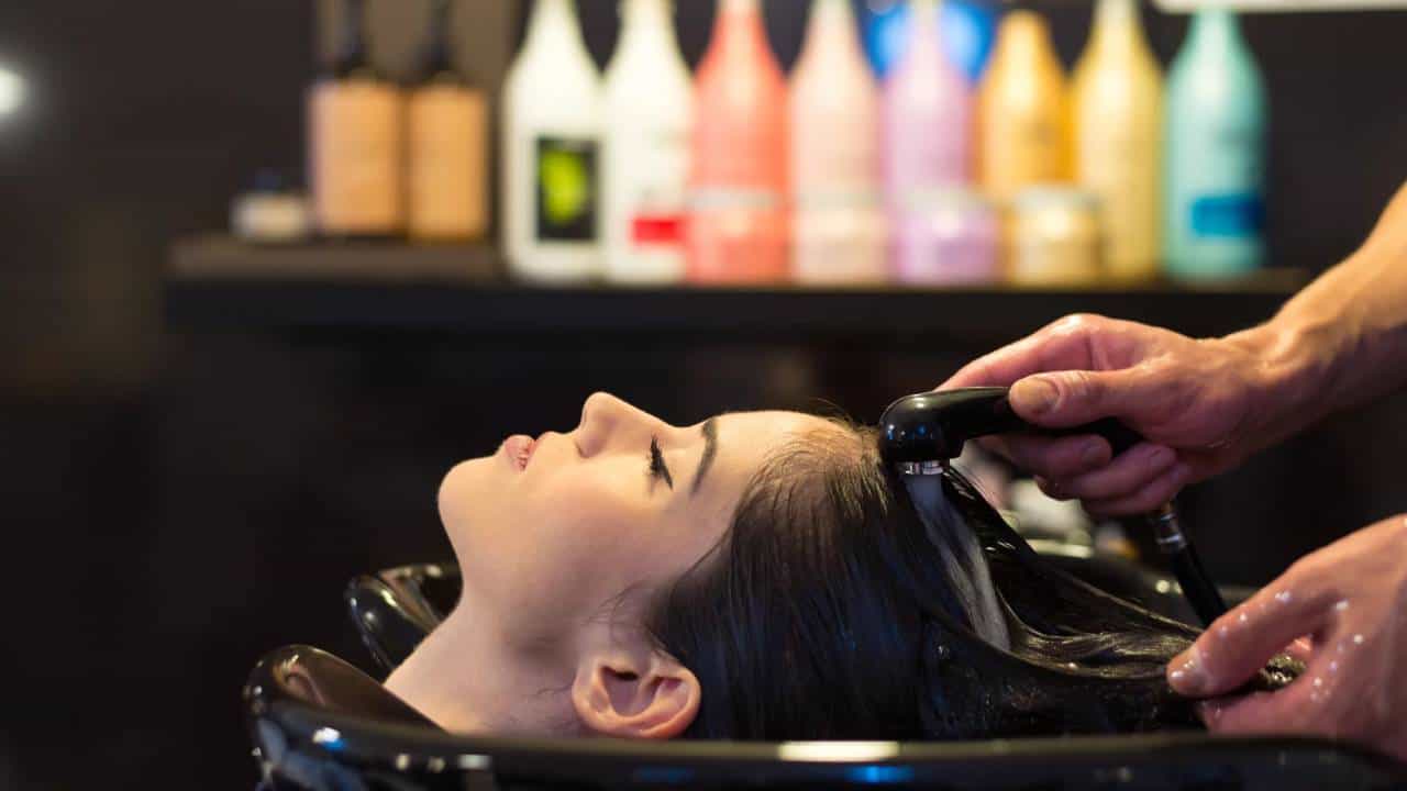 Hair Care: केसगळती आणि कोंड्यामुळे झालात त्रस्त ? ट्राय करा हा घरगुती शांपू