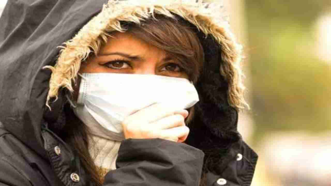 Indoor Air Pollution: घरातही असू शकते प्रदूषण, या ट्रिक्सचा वापर करून हवा ठेवा स्वच्छ