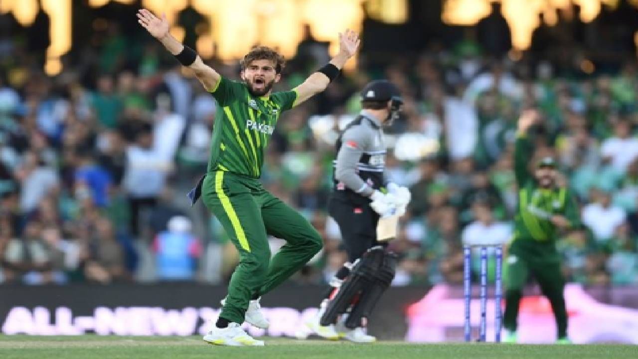 PAK vs NZ T20 Semi Final: पाकिस्तान वर्ल्ड कपच्या फायनलमध्ये, न्यूझीलंडवर मोठा विजय