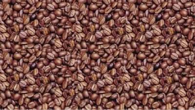 कॉफी बीन्समध्ये लपलाय माणसाचा चेहरा! शोधा बरं...