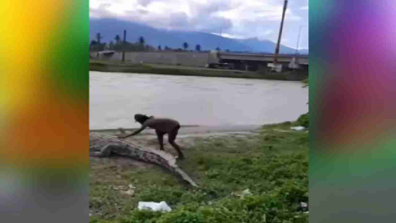 VIDEO : हा व्यक्ती महाकाय मगरीला गोंजारायला गेला, मग काय झाले ते पहा