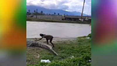 VIDEO : हा व्यक्ती महाकाय मगरीला गोंजारायला गेला, मग काय झाले ते पहा