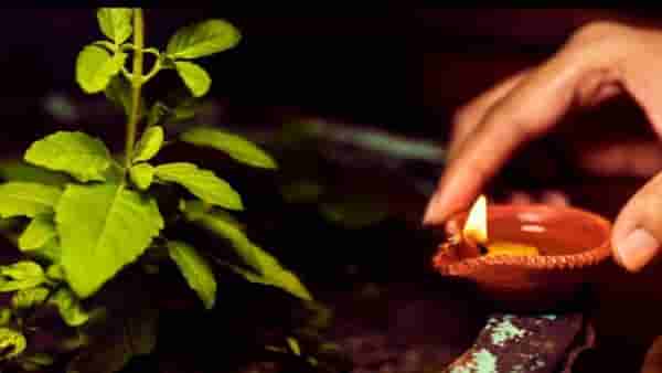 Vastu Tips: आर्थिक संकटातून पाहिजे असेल सुटका तर या दिशेला ठेवा तुळशीचे रोप, मिळेल लक्ष्मीचा आशीर्वाद