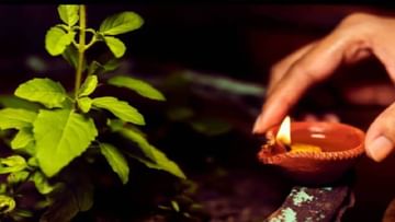 Vastu Tips: आर्थिक संकटातून पाहिजे असेल सुटका तर 'या' दिशेला ठेवा तुळशीचे रोप, मिळेल लक्ष्मीचा आशीर्वाद