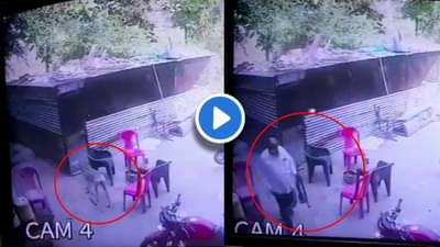 CCTV : माझ्यावर भुकंतो? थांब दाखवतोच म्हणत कुत्र्याची हत्या! परळी येथील धक्कादायक प्रकार
