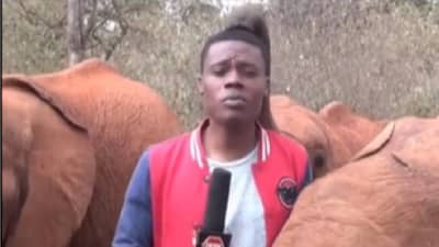 हत्तीने प्रेमाने पप्पी दिली, कुणालाच हसू आवरेना, गोंडस व्हिडीओ!