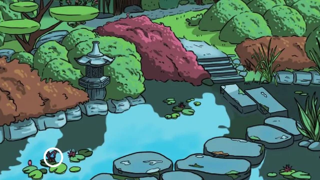 Here is the butterfly