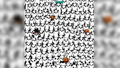 कोडं! 3 भुतं लपलेली आहेत, शोधून दाखवा