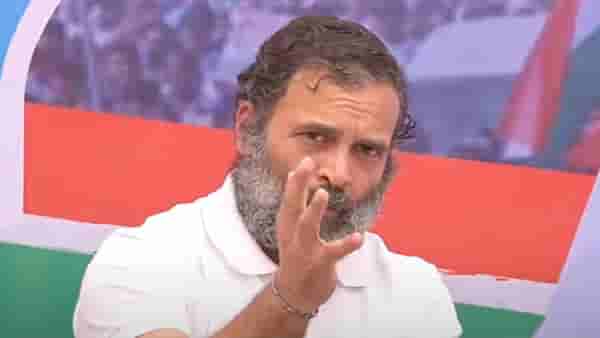 राहुल गांधी यांच्याविरोधात या शिवसेना नेत्या पोलिसात, तक्रारीचे मुद्दे नेमके काय? गुन्हा दाखल?