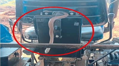 तास-दीड तास ट्रॅक्टरच्या शिटाखाली साप होता...त्याला कळलंच नाही... पण कळताच जे काही घडलं...