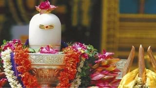 Utpanna Ekadashi 2022: आज उत्पत्ती एकादशी, पूजा विधी आणि प्रभावी उपाय