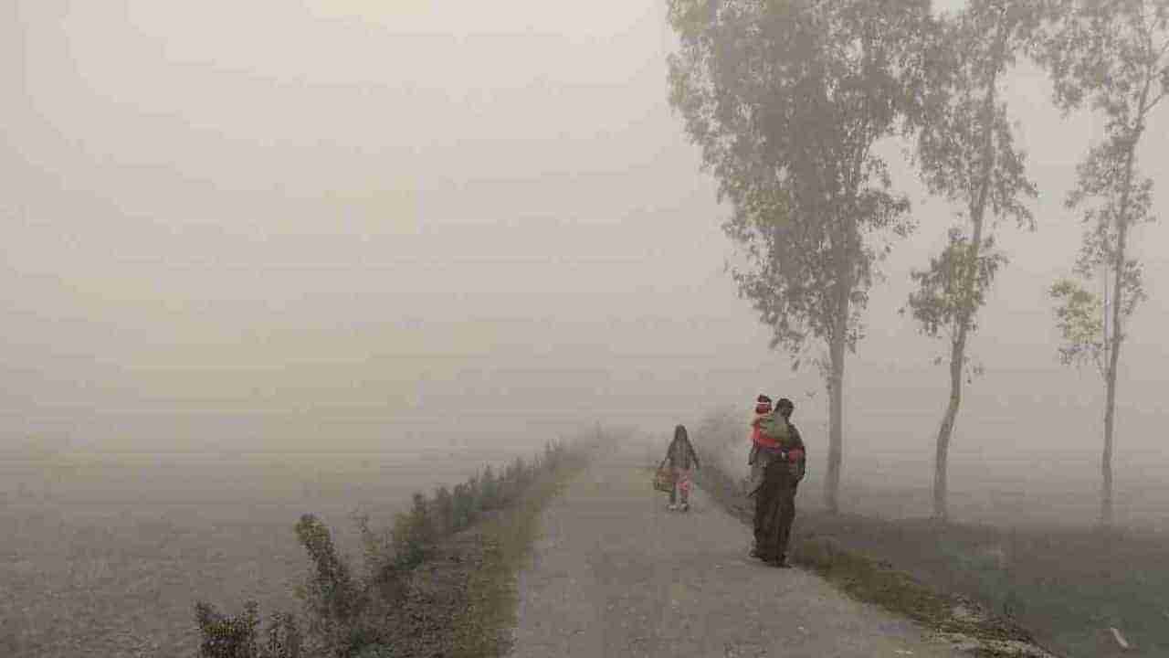 Weather Today: दिल्ली-एनसीआर ते यूपी-बिहारपर्यंत थंडीची लाट, या राज्यांमध्ये थंडीची लाट येण्याचा इशारा