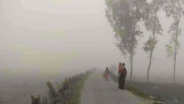 Weather Today: दिल्ली-एनसीआर ते यूपी-बिहारपर्यंत थंडीची लाट, या राज्यांमध्ये थंडीची लाट येण्याचा इशारा