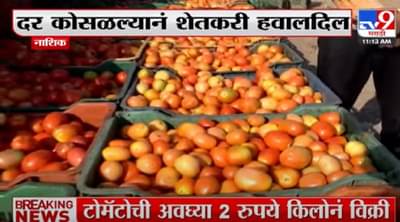 Nashik | लाल चिखल व्हायचाच बाकी, टोमॅटोने डोळ्यात पाणी, पंधरा दिवसात भाव पाहा कुठवर पोहोचले Video