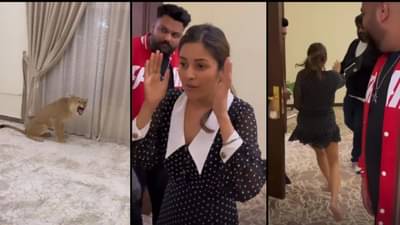 Video: सिंहाला रुममध्ये पाहून शहनाझ गिलची उडाली घाबरगुंडी; व्हिडीओ व्हायरल