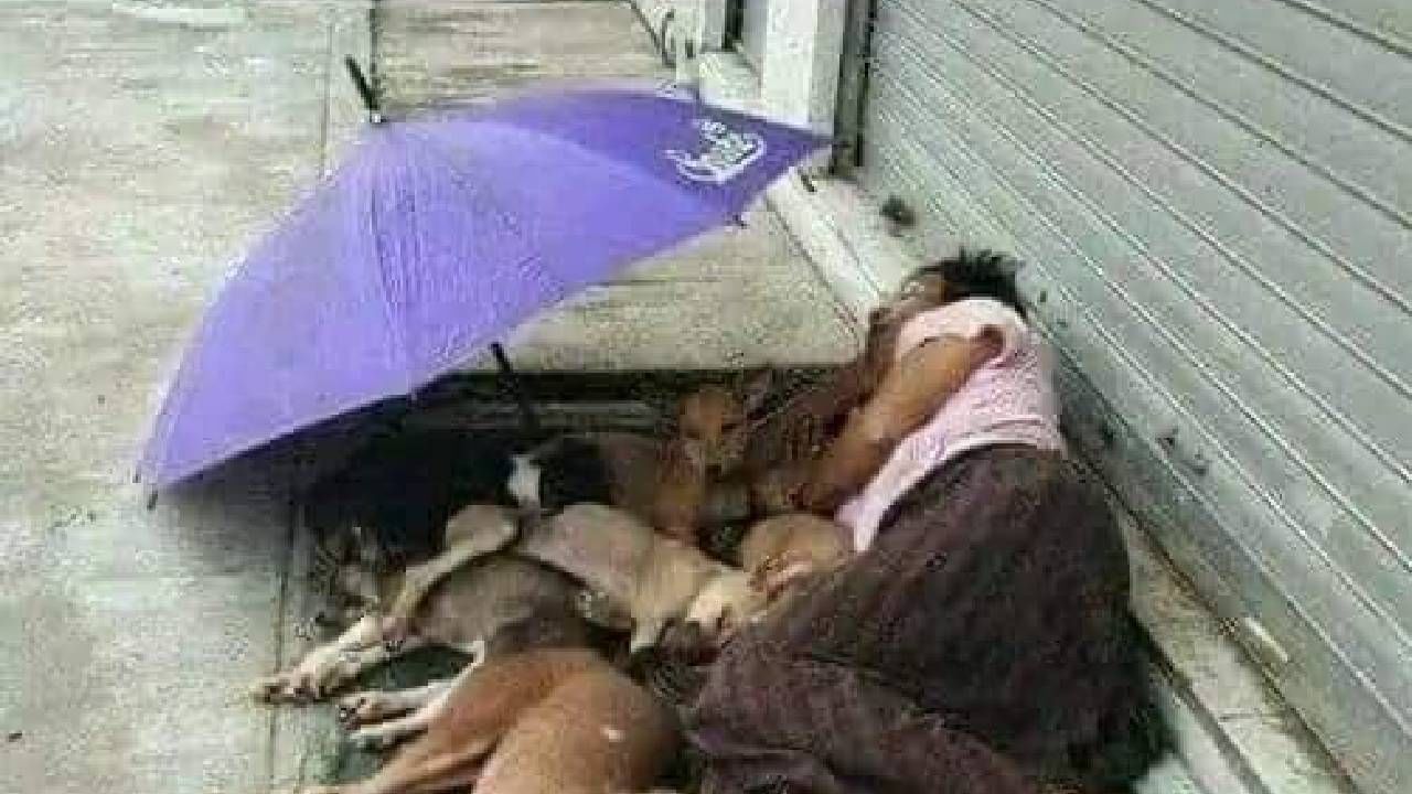 हा फोटो बघा, भारावून जाल! IFS अधिकाऱ्याने पोस्ट केलेला फोटो खूप अर्थपूर्ण हा फोटो बघा, भारावून जाल! IFS अधिकाऱ्याने पोस्ट केलेला फोटो खूप अर्थपूर्ण