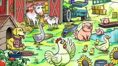 तात्यांची छोटी कोंबडी हरवलीय, द्या जरा शोधून!