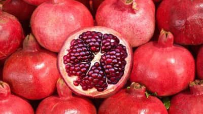 Dengue Recovery Tips: डेंग्यू आजारातून लवकर बरं व्हायचं असेल तर खा ही फळं