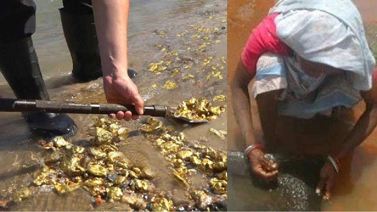 भारतातील या नदीत सोनं कुठून येतं हे अद्याप गूढ! लोक अनेक पिढ्यांपासून या सोन्यापासून कमवतात पैसे