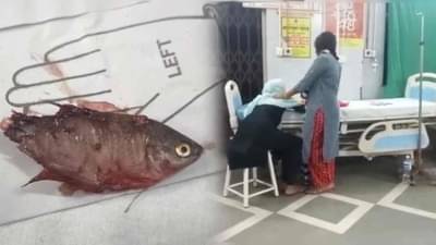 Ambernath : 6 महिन्यांचं बाळ अचानक तडफडू लागलं, डॉक्टरकडे नेईपर्यंत वेळ निघून गेली!