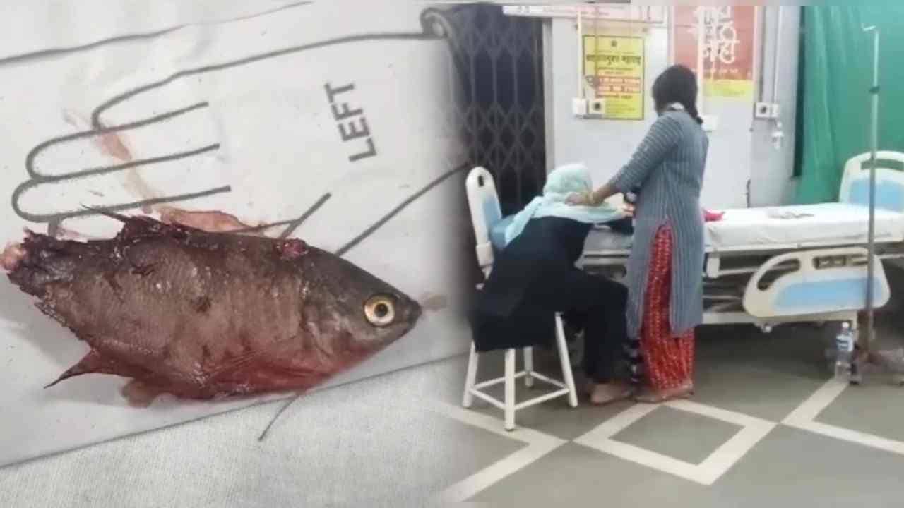 Ambernath : 6 महिन्यांचं बाळ अचानक तडफडू लागलं, डॉक्टरकडे नेईपर्यंत वेळ निघून गेली!