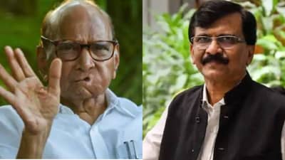 संजय राऊत यांनी घेतली शरद पवार यांची भेट, चर्चेत नेमकं काय झालं?