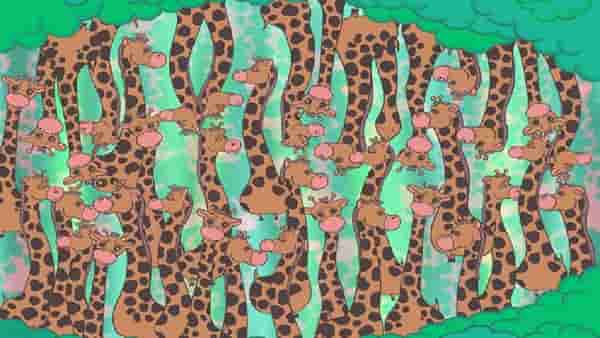 Optical Illusion जिराफांच्या गोंधळात मध्येच साप आहे, हुशार असाल तरच दिसणार...
