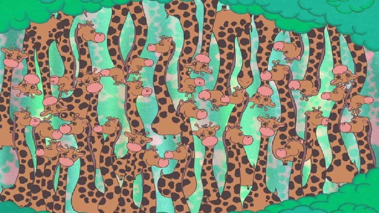 Optical Illusion जिराफांच्या गोंधळात मध्येच साप आहे, हुशार असाल तरच दिसणार...