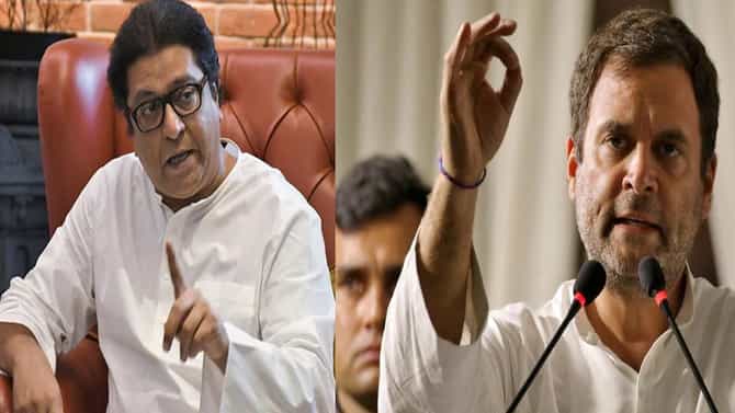 अरे गधड्या तुझी सावरकरांवर बोलायची लायकी तरी आहे का?, राज ठाकरे यांचा राहुल गांधी यांच्यावर घणाघात