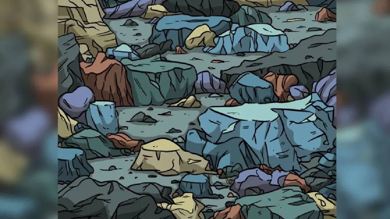 हे कोडं आहे सर्वात अवघड, खडकांमध्ये लपलीये गोगलगाय, दिसणं अशक्य! हे कोडं आहे सर्वात अवघड, खडकांमध्ये लपलीये गोगलगाय, दिसणं अशक्य!