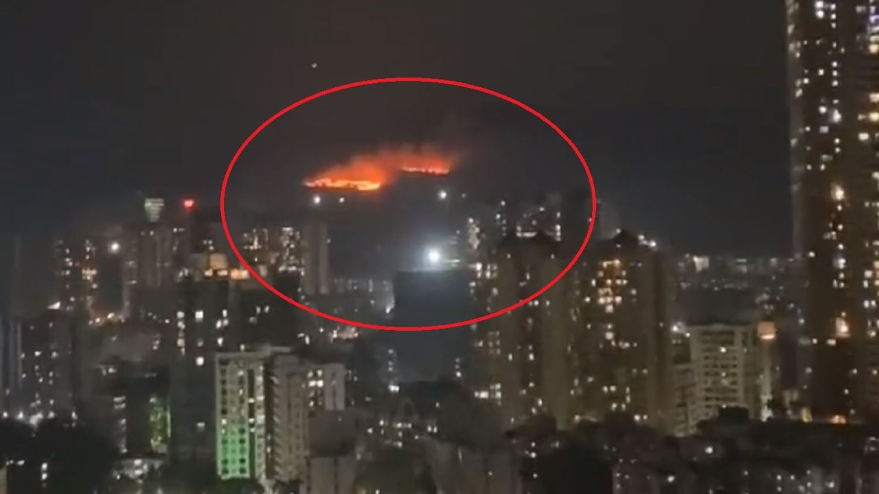 Mumbai Fire : मुंबईत भीषण अग्नितांडव, गोरेगावच्या आयटी पार्कमागील जंगलमध्ये आग