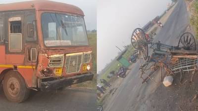 टीचभर पोटाची खळगी भरण्यासाठी जात होते, माय-लेक जिवानिशी गेले, हृदयपिळवटून टाकणारी दुर्दैवी घटना