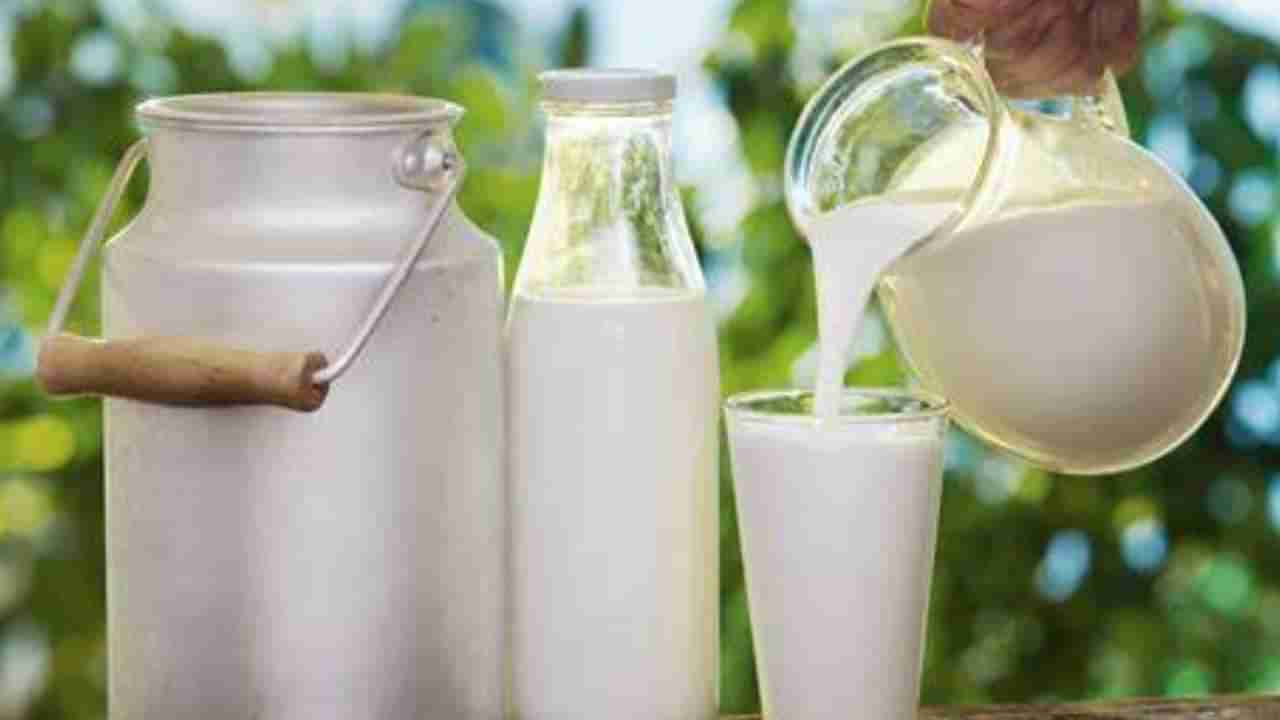 Excess Of Milk: दुधाच्या अतिसेवनामुळे होऊ शकतो हा जीवघेणा आजार ?