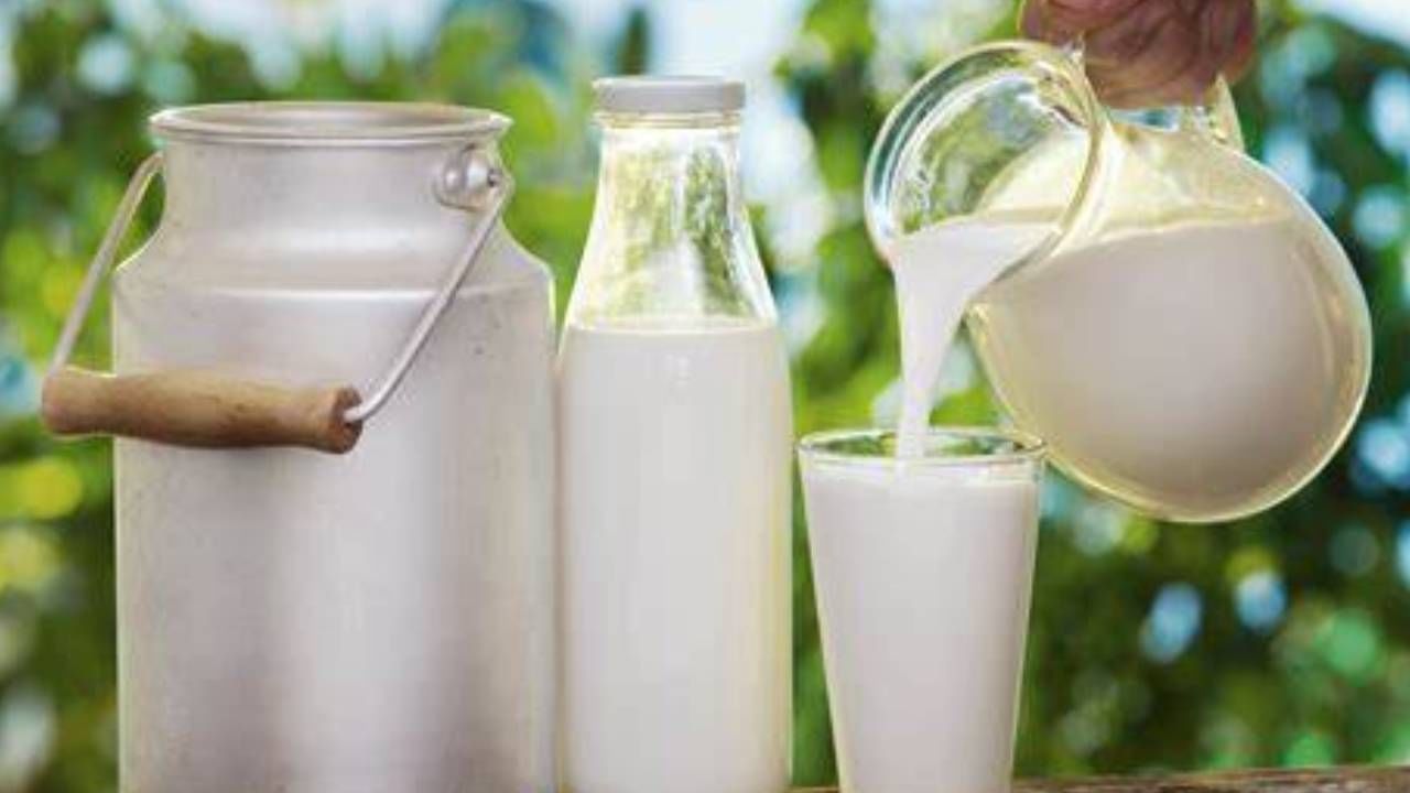 Excess Of Milk: दुधाच्या अतिसेवनामुळे होऊ शकतो 'हा' जीवघेणा आजार ?