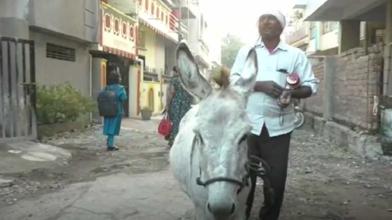 गाढव काय करू शकतं? नांदेडच्या दूधाचा भाव पहा, 10 थेंबांची किंमत सोन्यालाही लाजवणारी....